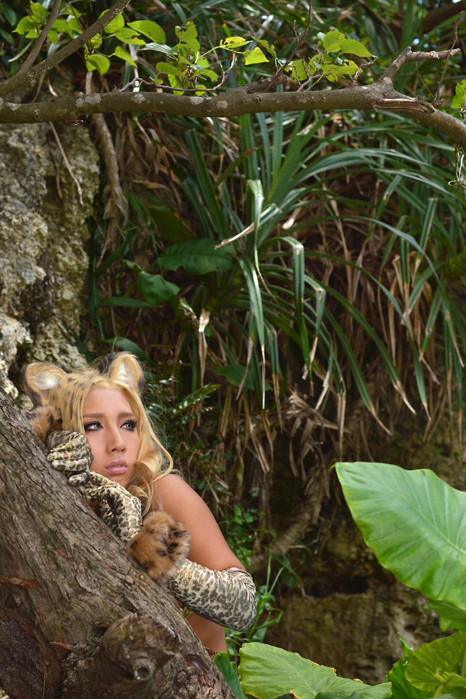 amateur photo Nonsummerjack Jungle Jungle 0542