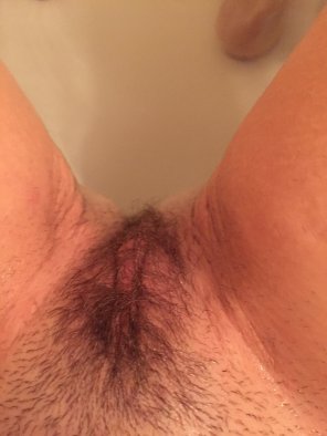 Wifes hairy pussy