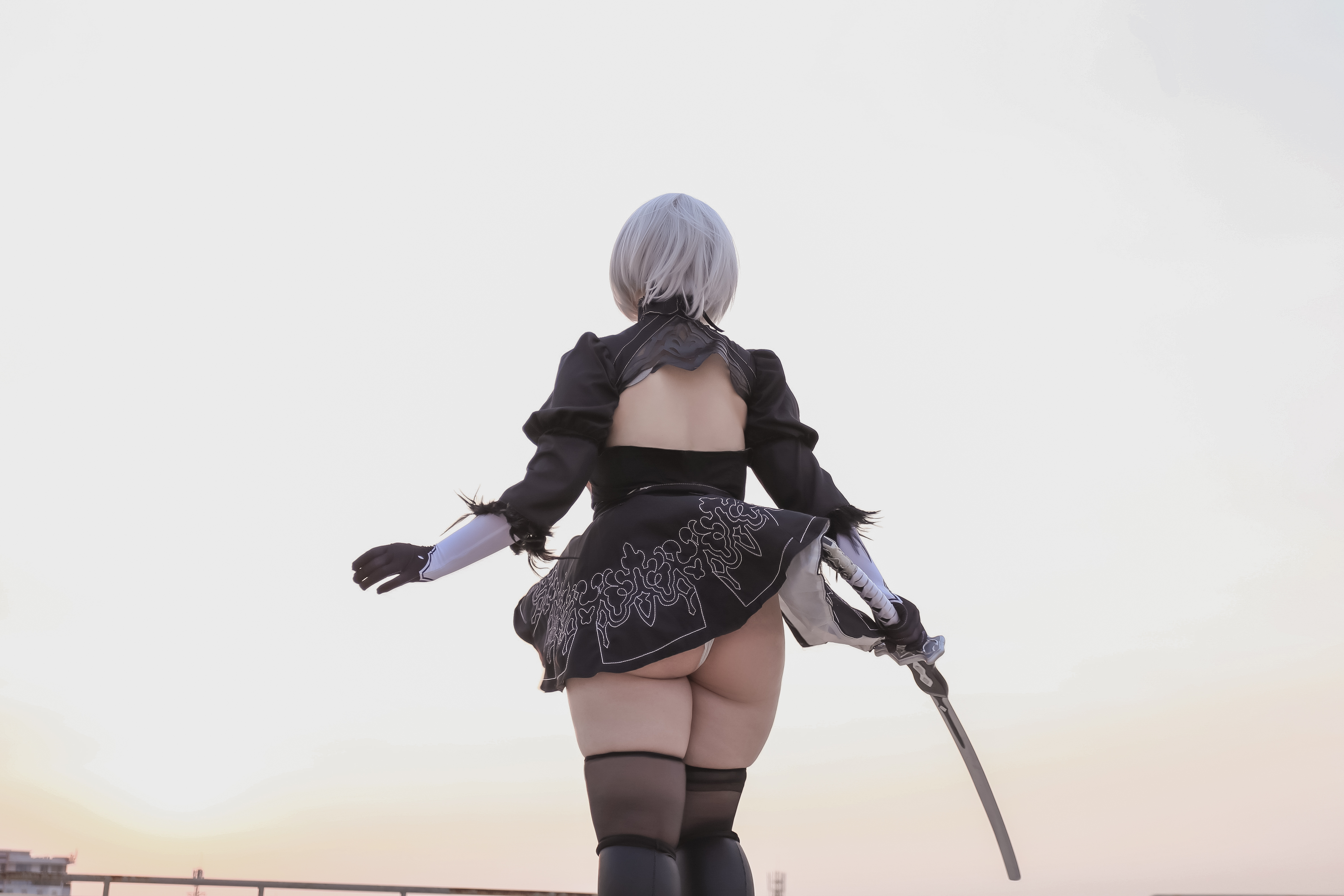 amateur photo 33_Nier_3