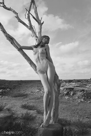 amateur pic proserpina-joshua-tree-32