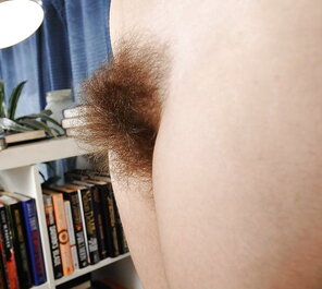 Hairy_Pussy_01_Hairy_59