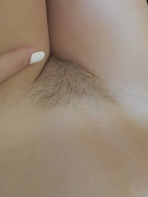 amateur pic Hairy_Pussy_01_hairy_64586_e10a1ed5c15ceb4a4815eaa1379af575_l