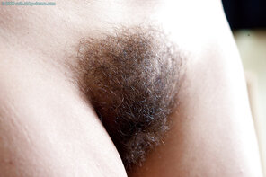 amateur pic Hairy_Pussy_01_Hairy_10437723_014_3522