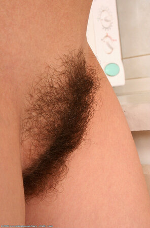 Hairy_Pussy_01_Hairy_m10