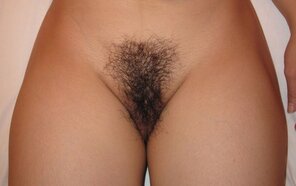 Hairy_Pussy_01_Hairy_Pussy_001_156