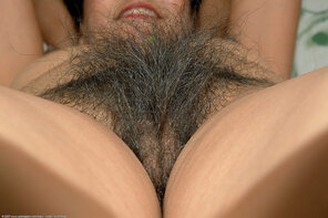 Hairy_Pussy_01_Hairy_Pussy_002_197