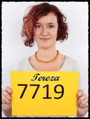 7719 Tereza (1)
