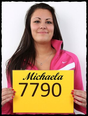 7790 Michaela (1)