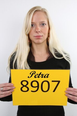 8907 Petra (1)