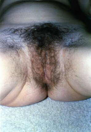 amateur pic Hairy_Pussy_01_Hairy_Pussy_Carola_Wagner_001