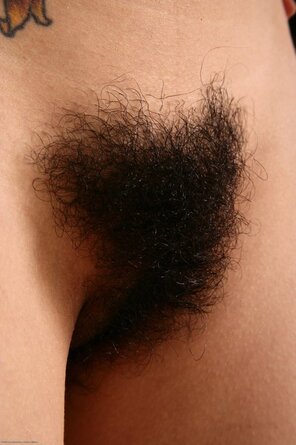 amateur pic Hairy_Pussy_01_Hairy_Pussy_Ocean_001