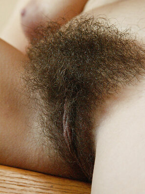 amateur pic Hairy_Pussy_01_287B0B9E_ECF0_436C_B42B_C3C5672146B4