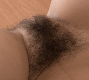 amateur pic Hairy_Pussy_01_763f1afbaa38fe1084904f3ecc326227_213124562201536280_582x