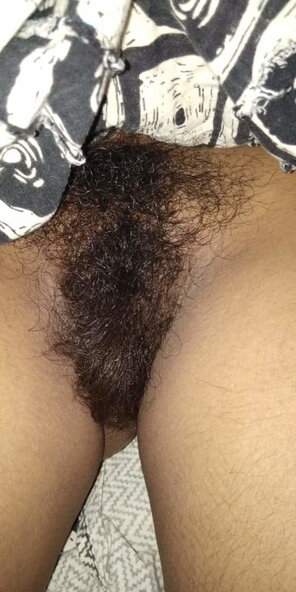 amateur pic Hairy_Pussy_01_4641FE81_790E_4510_9C34_9EB3F3E83C47