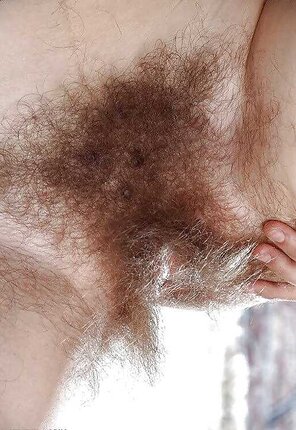 amateur pic Hairy_Pussy_01_06303F93_AD96_4F04_AE43_18636B052780