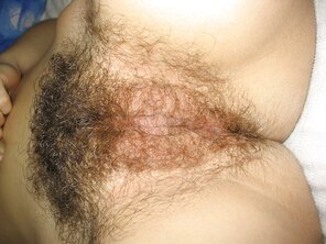 amateur pic Hairy_Pussy_01_169982E0_754C_4043_9660_1B00F8DB6100