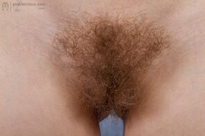 amateur pic Hairy_Pussy_01_A8E3167C_018D_471A_A2C4_D783EB607324