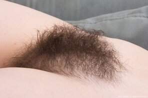 amateur pic Hairy_Pussy_01_B3180F31_A624_4FFD_9929_3D5BE1153C41