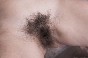 Hairy_Pussy_01_C871A89A_D30B_4EEF_84A9_B38BEAAB451F