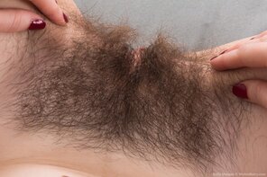 amateur pic Hairy_Pussy_01_F29C7E1B_73D2_4FFA_B8B9_2A225045D2E5