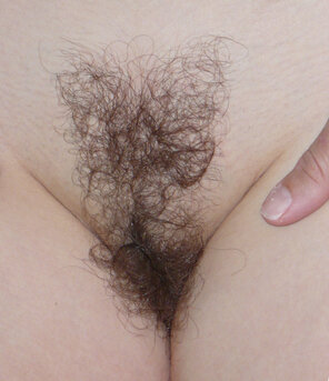 Hairy_Pussy_01_F41C83C3_35F6_44D5_AAE8_90D2DCB6ED32