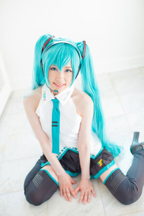 [@factory (Tsuchiya Asami)] MikuCos (Vocaloid)_836530-0083