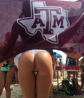 Gig'em