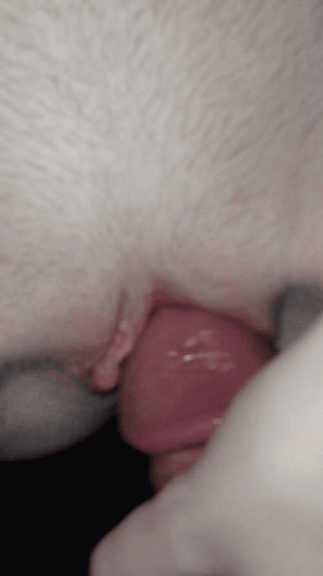 amateur pic my tease video vertical full.2024-02-05 23_01_12