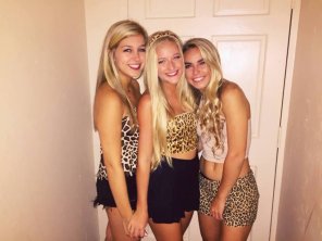 amateur pic Three Jungle Blondes