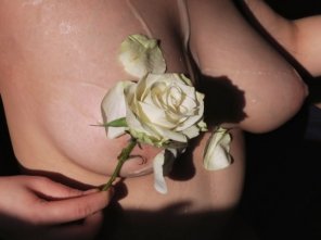 amateur photo semen and a flower for her lovely titties