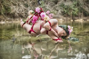 amateur pic Pink Nature Water Reflection Flower 