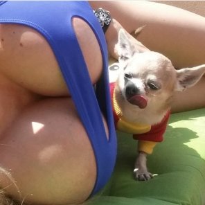 dog like boobs!