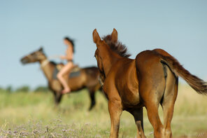 amateur pic Stunning_Evanthe---Full-Day-Horseback-Riding_Evanthe-L_high_0060