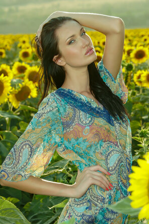 Stunning_Izolda---Field-of-Sunflowers_Izolda-M_medium_0005