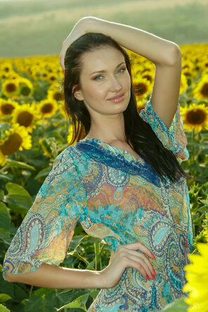 Stunning_Izolda---Field-of-Sunflowers_Izolda-M_medium_0006