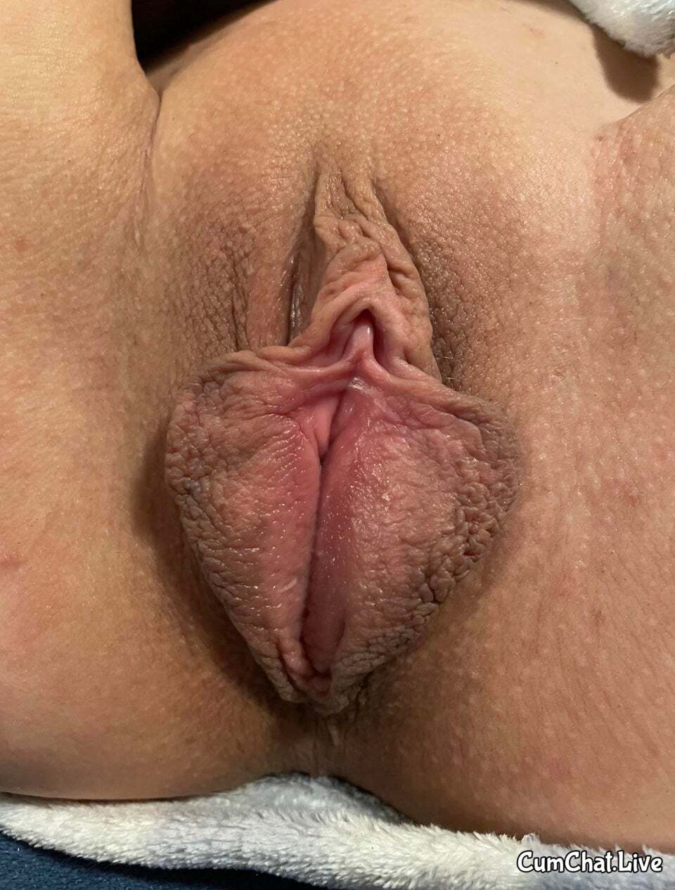 Pussy21