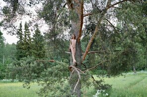 Up in the trees.