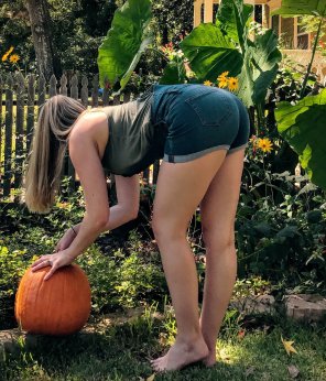 ðŸ‚ðŸ‘