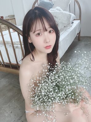 amateur photo けんけん (Kenken - snexxxxxxx) Gypsophila (5)