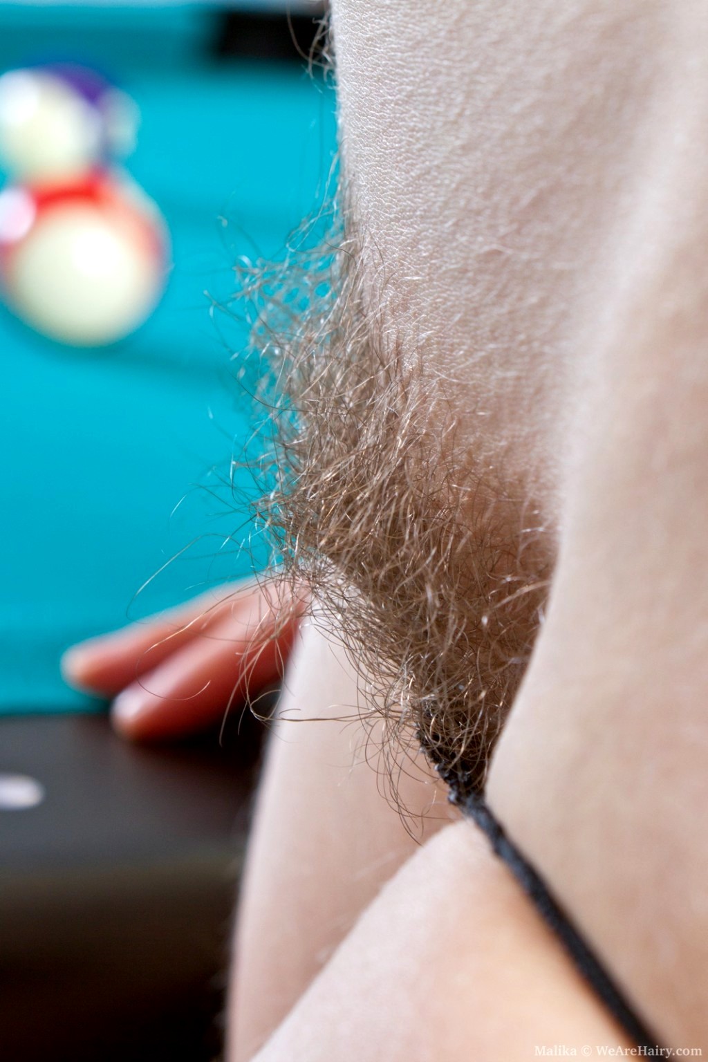 amateur photo wearehairy-model-9