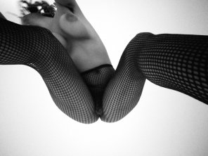 fishnet II