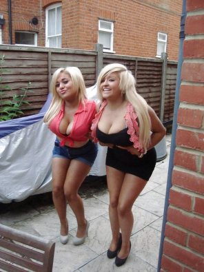 A pair of blonde bimbos