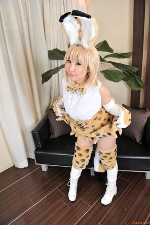 serval292