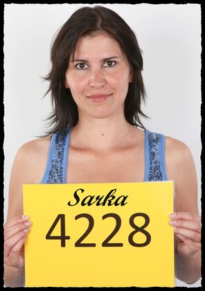 4228 Sarka (1)