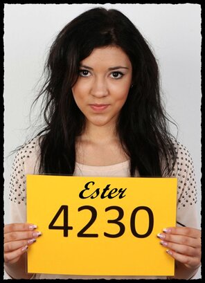 4230 Ester (1)