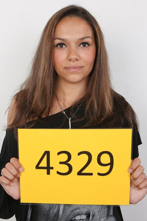 4329 Aneta (1)