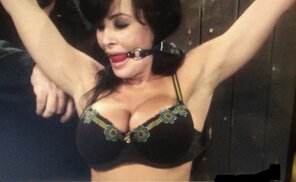 Lisa Ann #485