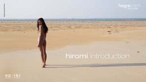 amateur pic hiromi-introduction-board