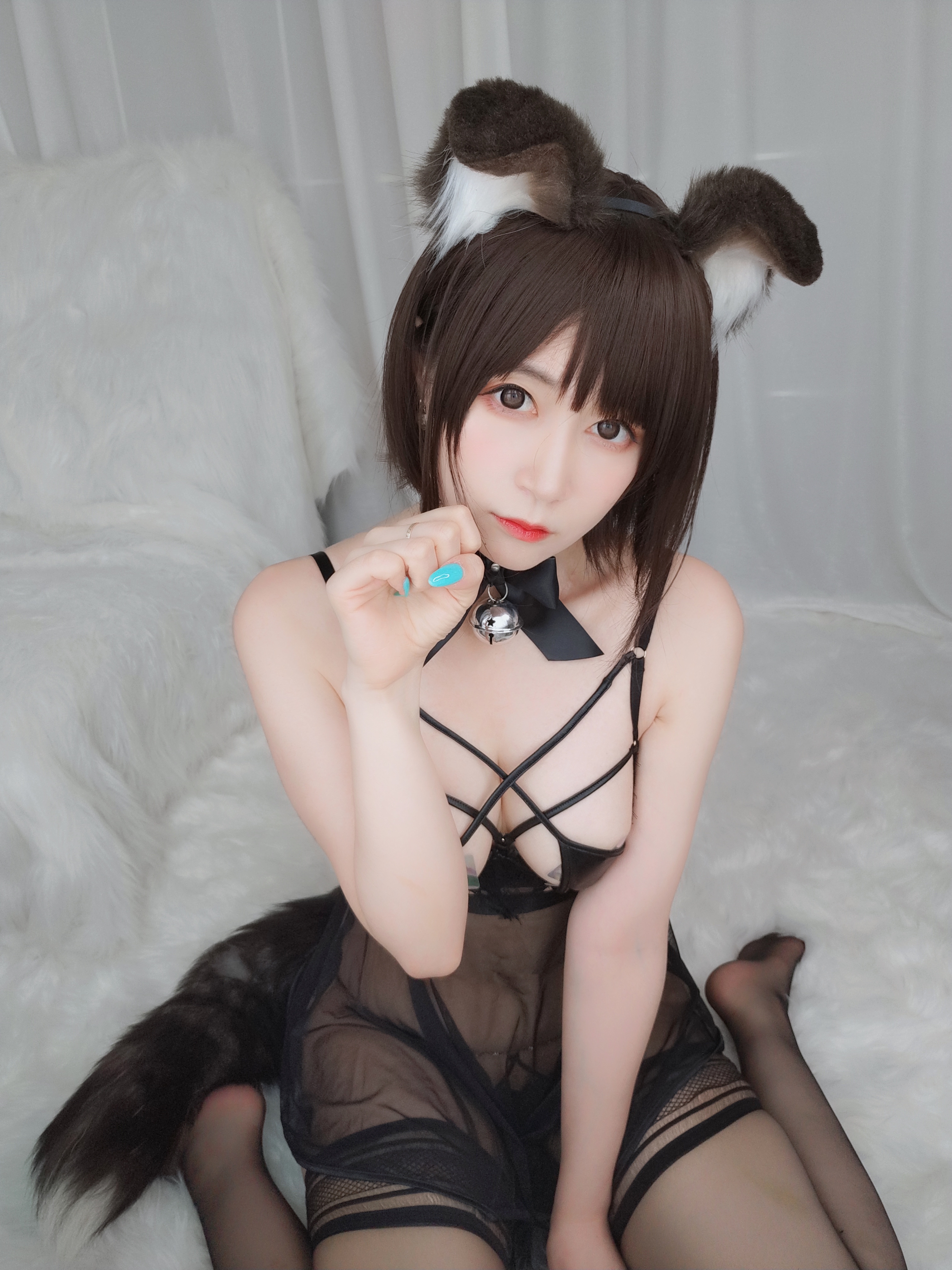 amateur photo Baiyin811 (白银81) - 折耳狗 (2)