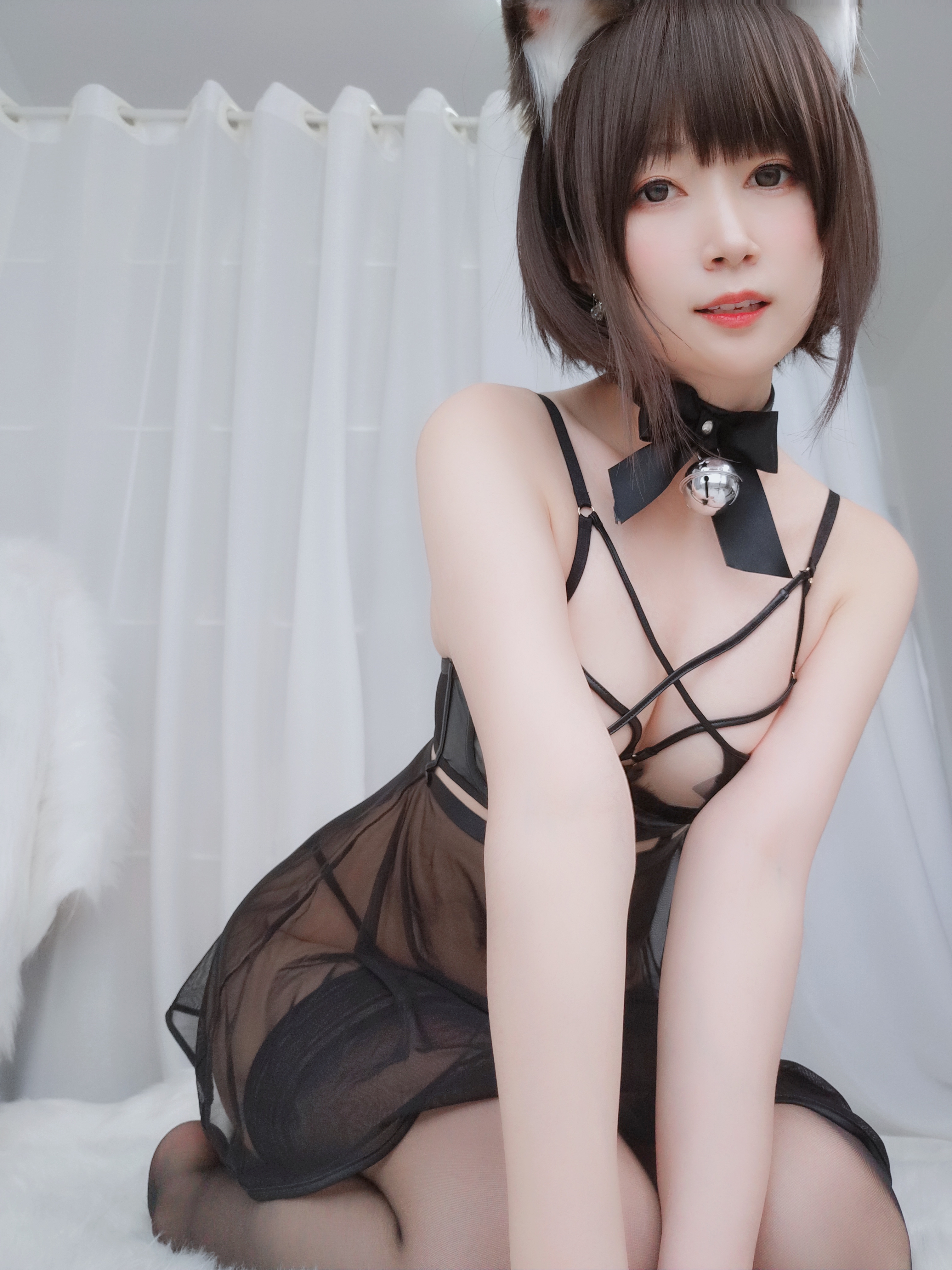 amateur photo Baiyin811 (白银81) - 折耳狗 (4)